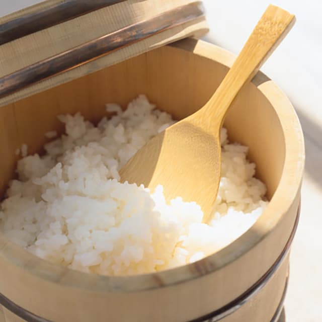 雪温精法　熊本県産　森のくまさん４ｋｇ